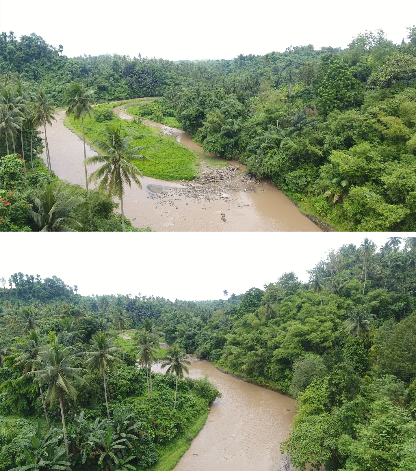 热带雨林  森林 航拍视频