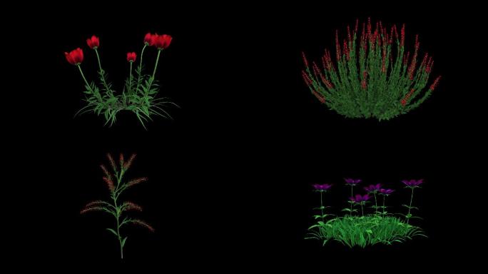 原创6款植物花草飘动视频素材带通道