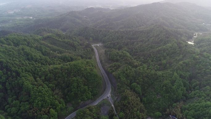 六安茶谷九十里山水画廊