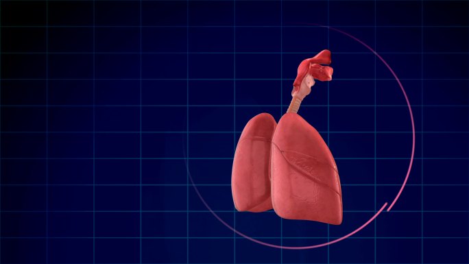 人肺呼吸系统摘要蓝色网格背景动态光线