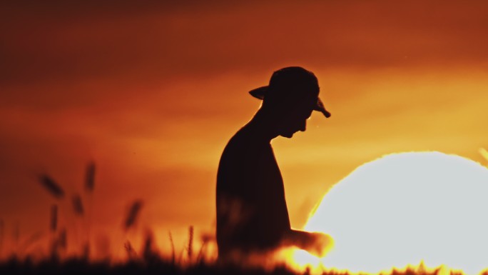 日落时分，戴着太阳帽的斯洛莫农民穿过麦田