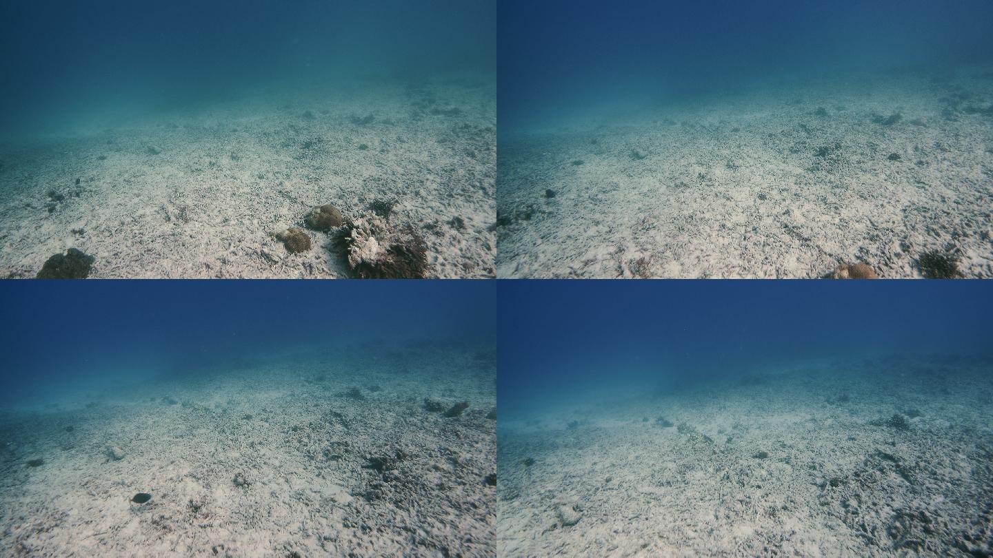 裸露海底的水下视图