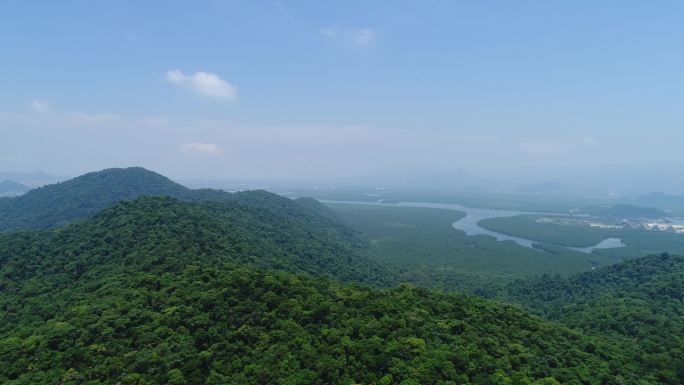 巴西大西洋森林山川河流原始森林绿色