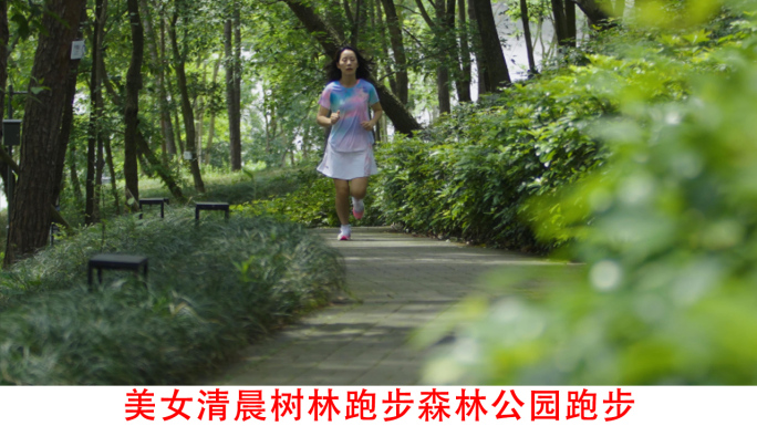 美女清晨森林公园跑步树林林荫道跑步视频