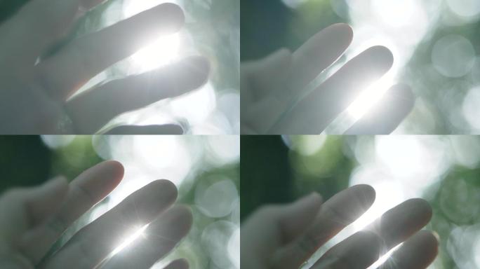 树林里阳光穿过手指指缝，逆光唯美光斑视频