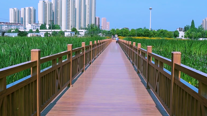 湿地公园里廊桥栈道 游客在栈道上行走