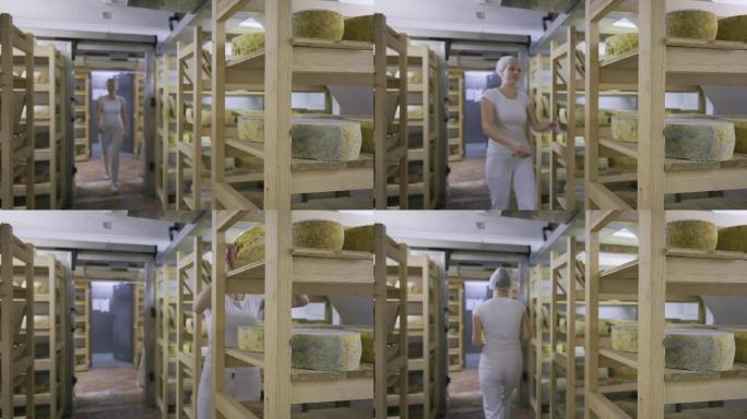 乳品厂的奶酪烘干室