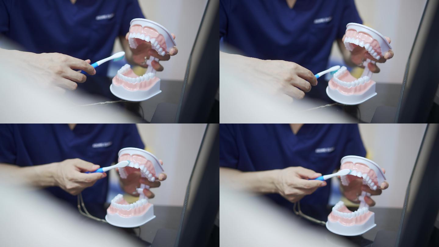 牙医刷牙义齿演示