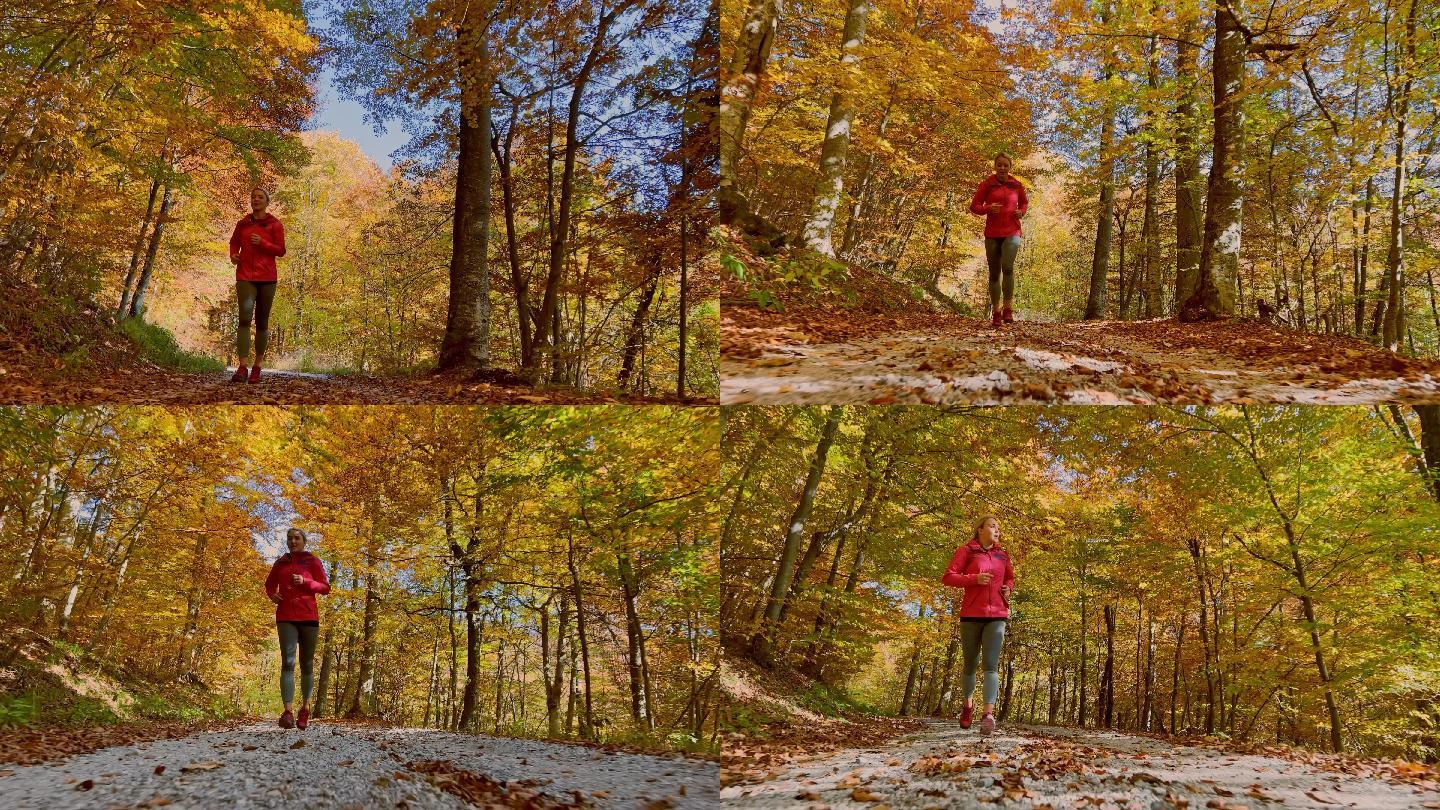 秋天一个阳光明媚的日子，一个女人在森林里的碎石路上跑步