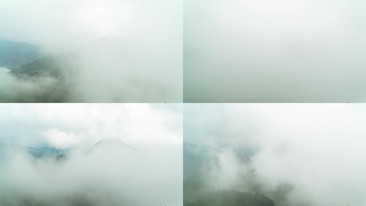 云雾缭绕的南岳西岭茶山4k延时
