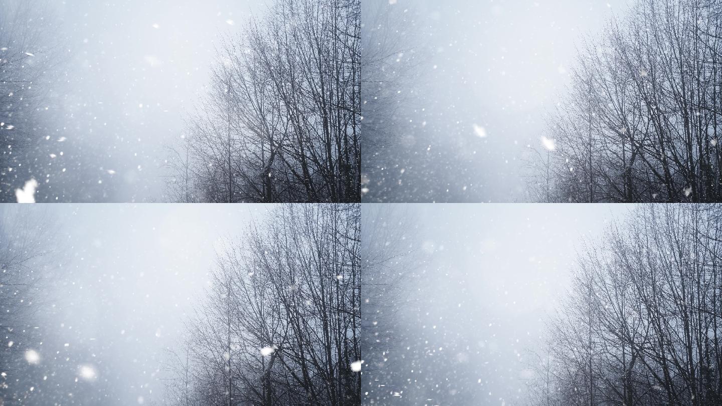 4k视频《降雪的冬季森林》。新年圣诞背景。