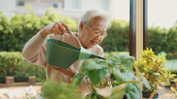 资深女士在家浇灌室外室内植物