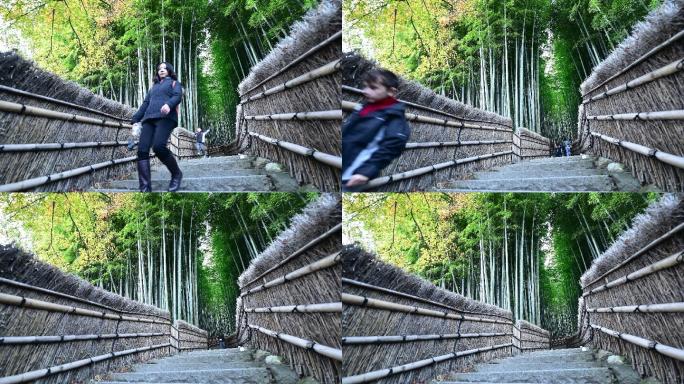 日本京都荒山竹林竹海竹林栈道