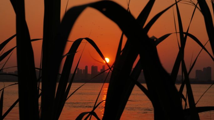 江边风景空镜头晚霞落日空镜头