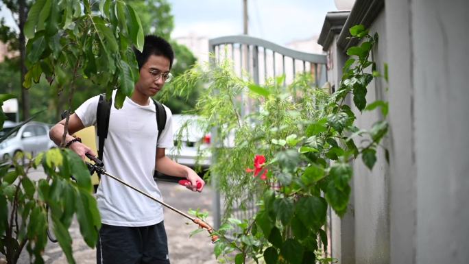 一名亚裔中国少年在自家前院花园喷洒杀虫剂肥料
