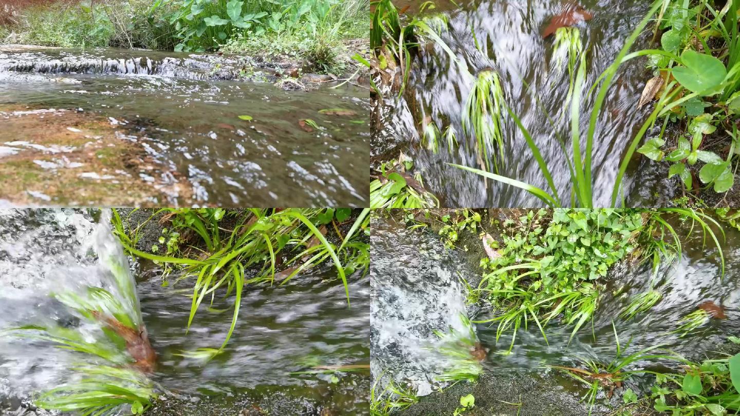 山间河水 山水 山上小溪  溪水 小草