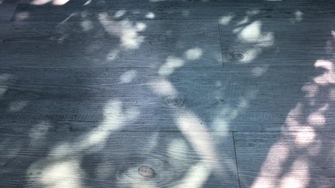 灰色木地板上翅膀吹动的阳光和树叶的影子