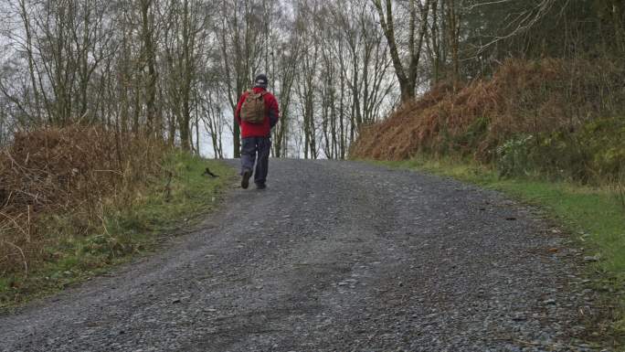 一个退休的男人独自走在森林里的土路上