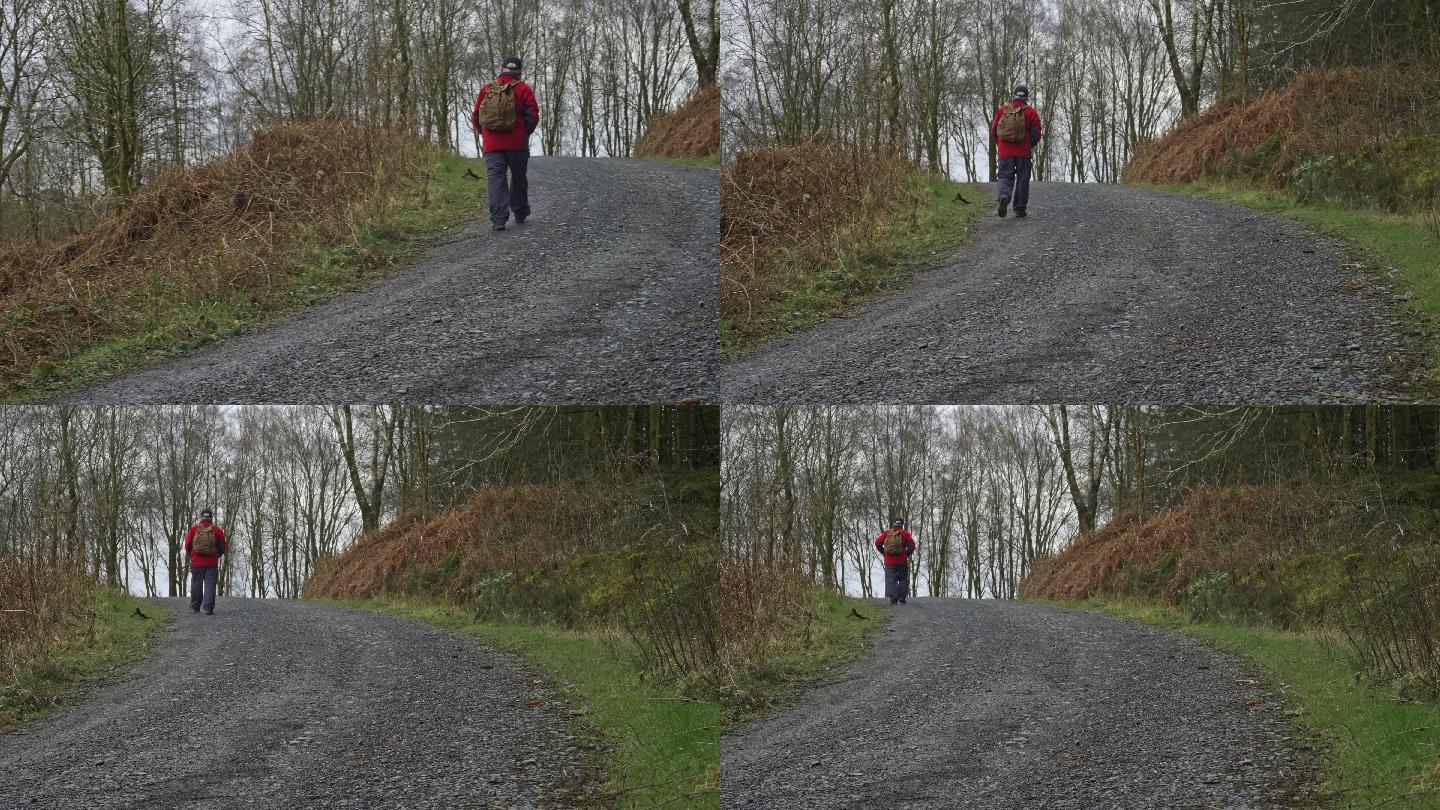 一个退休的男人独自走在森林里的土路上