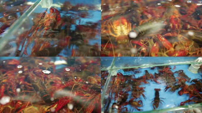 【镜头合集】水产市场商贩卖小龙虾