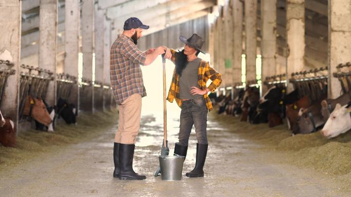 4k视频：戴牛仔帽的中年农场女工手持铁铲，在牛棚里与年轻的男工人讨论