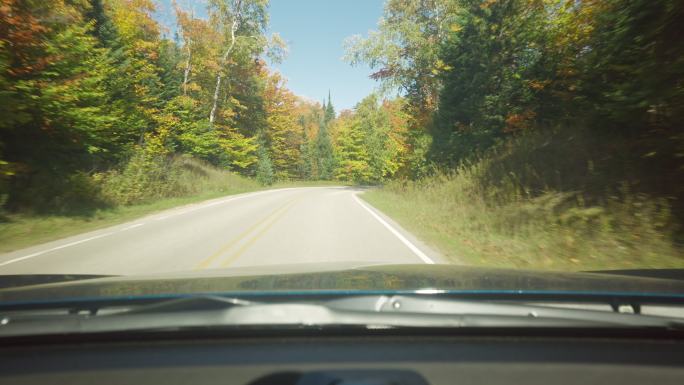 秋天森林中的弯曲铺砌道路