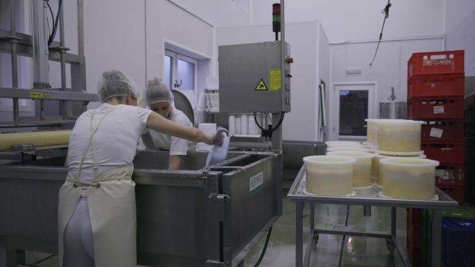 两名妇女在乳品厂收集奶酪凝乳