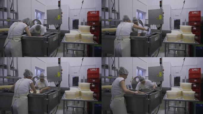 两名妇女在乳品厂收集奶酪凝乳