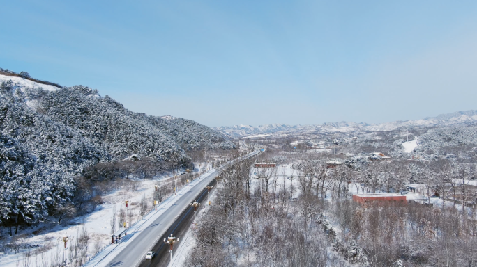 雪后缓慢前行的劳斯莱斯婚礼车队