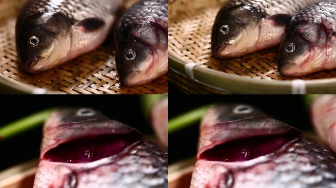 【镜头合集】鱼鳃辨别鱼新鲜程度  (1)