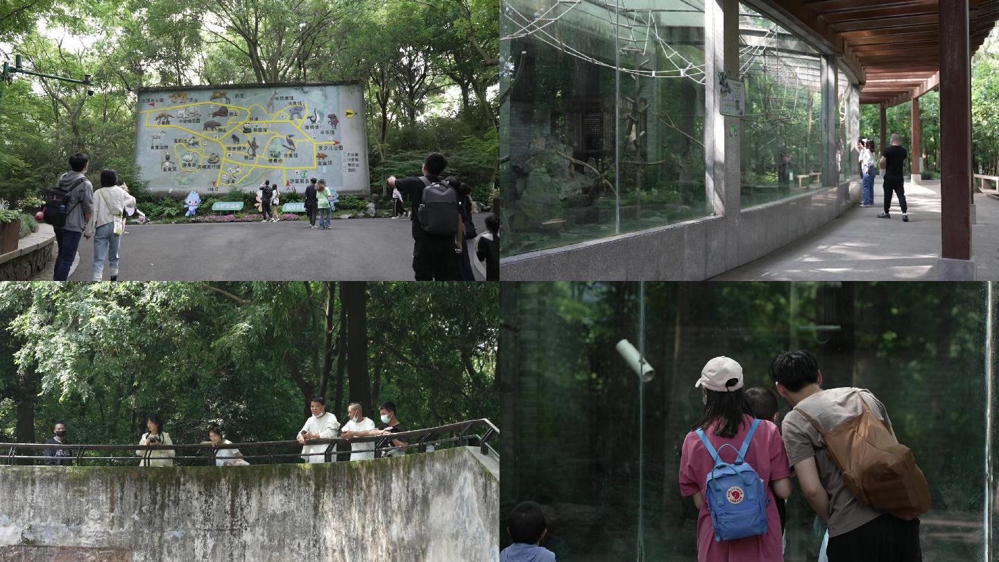 杭州动物园实拍