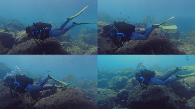 水肺潜水员和海底鱼群