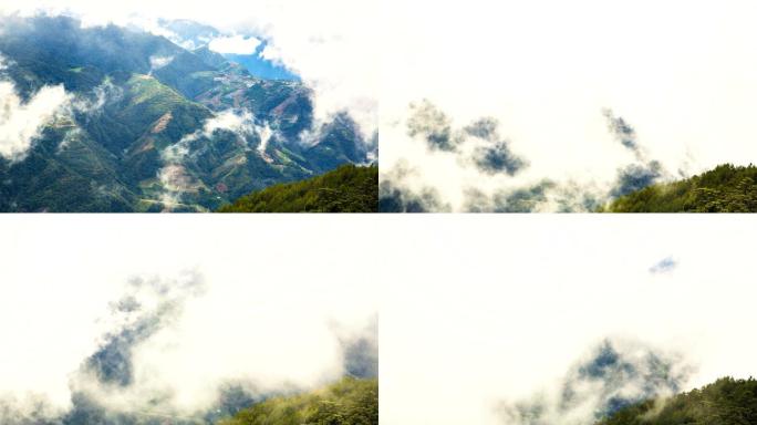 乌龙茶园云涌白雾山坡风景