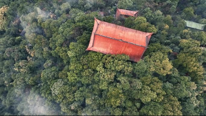 重庆全景航拍南山老君洞一棵树