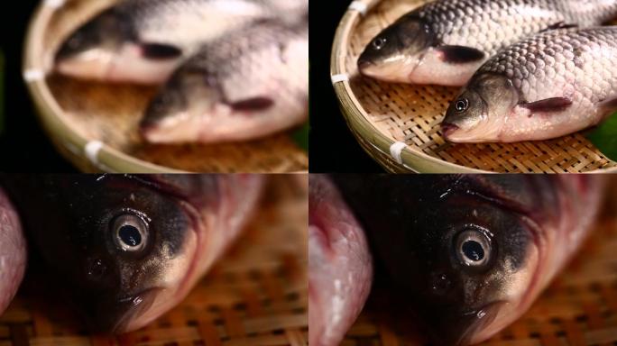 【镜头合集】鱼鳃鱼眼睛鱼头特写 (1)