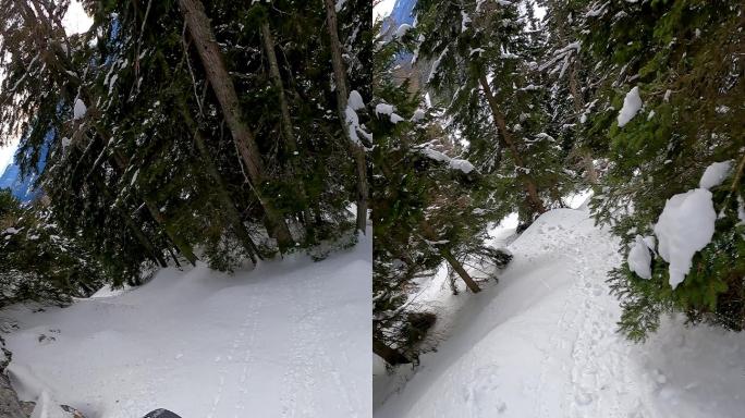 在白雪覆盖的森林中，一名自由式滑雪运动员在树木间雕刻的垂直视频POV镜头
