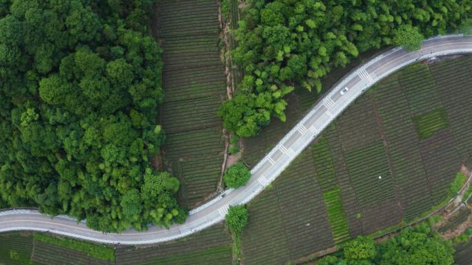 杭州西湖区梅家坞梅灵路航拍