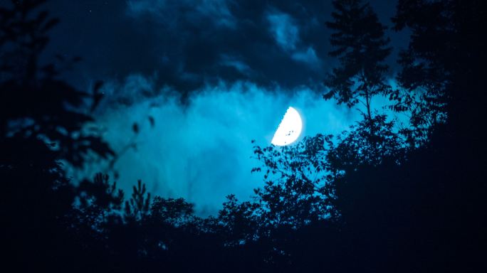 夜晚的月亮鬼节阴森恐怖