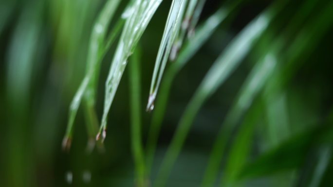 小区雨天