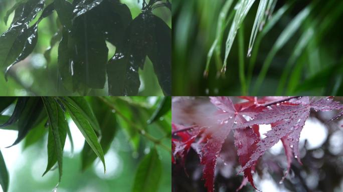 小区雨天