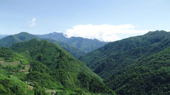 航拍飞机大疆大山自然森林树林生态保护原始