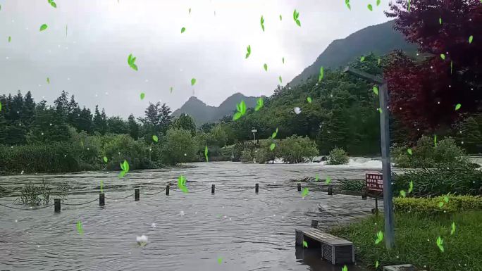 安静放松悠闲的风景