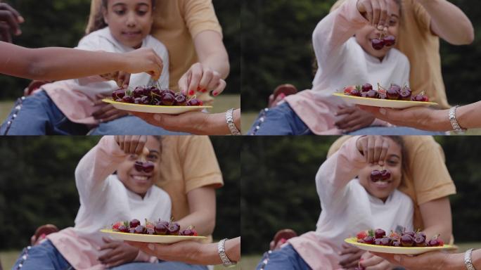 一家人在公园野餐时吃樱桃