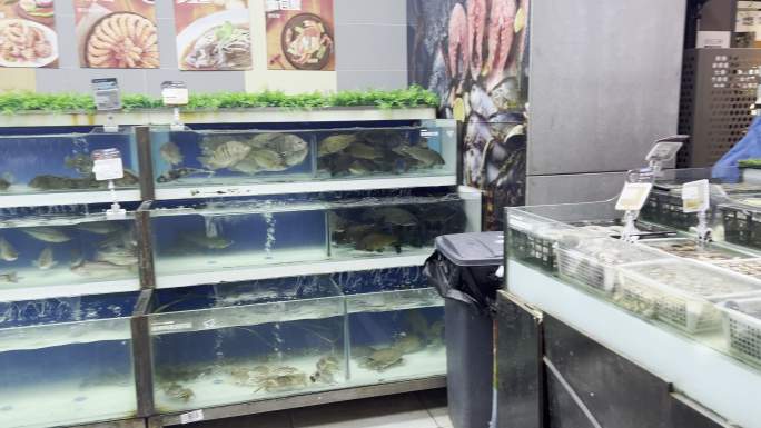 盒马生鲜超市的海鲜水产蛏子蛤蜊鱼类