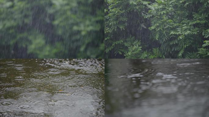 下雨天的空镜头