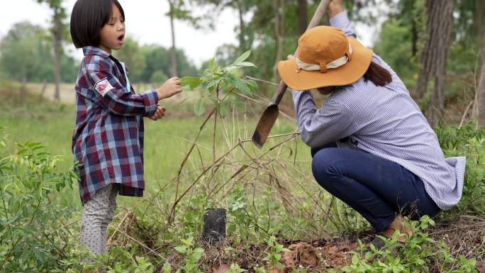 亚洲母女植树生态环境