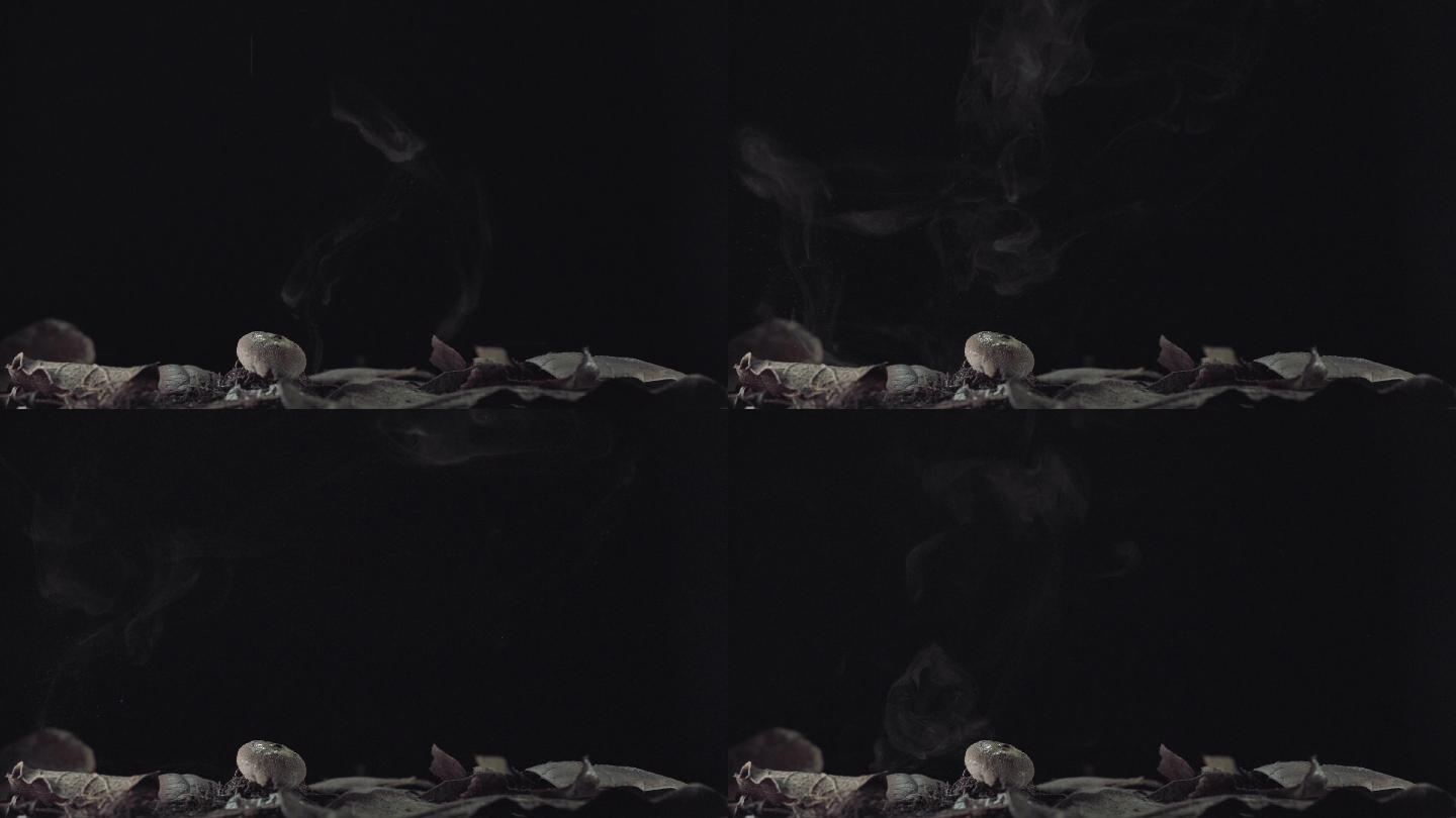 蘑菇烟云烟气黑屏水滴