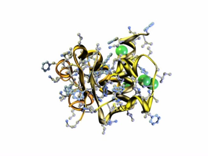 人胰岛素-苯丙氨酸解氨酶模型