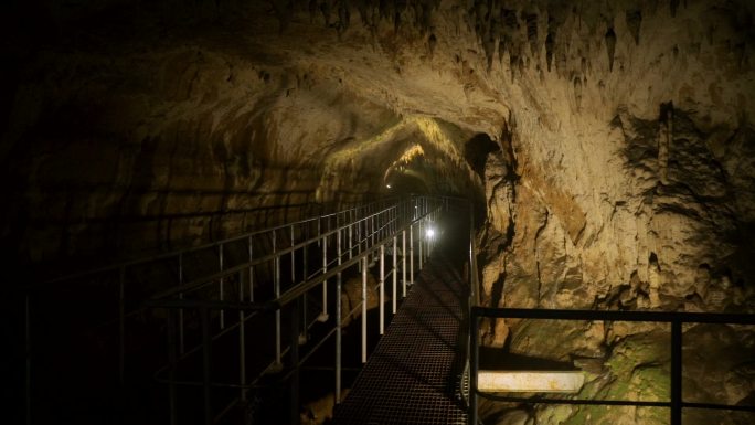 塞尔维亚地下拉吉科洞穴