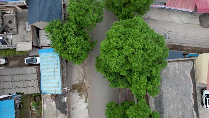 航拍镜头城市大景生态人居建筑A